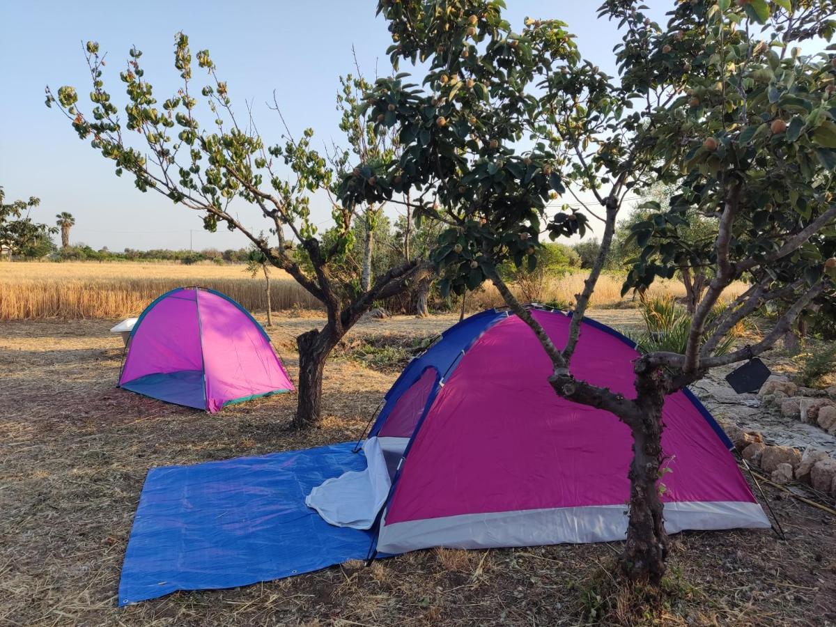 奥利吉欧 Aree Tende Presso La Casa In Campagna Di Ottavia酒店 外观 照片