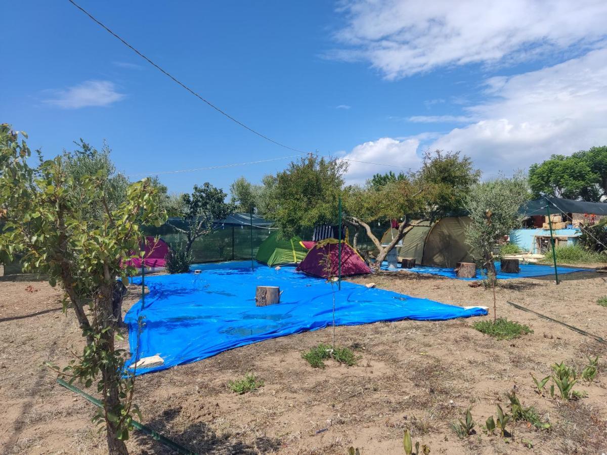 奥利吉欧 Aree Tende Presso La Casa In Campagna Di Ottavia酒店 外观 照片